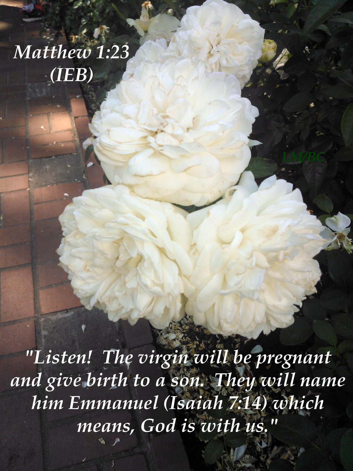 Emmanuel - Matthew 1_23 IEB - image